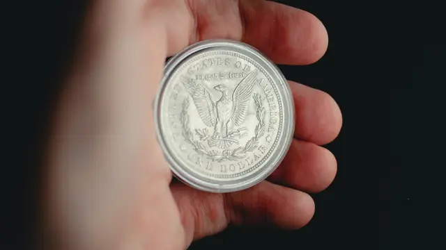 A hand holding a silver dollar