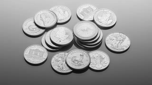 Silver bullion coins on a light background